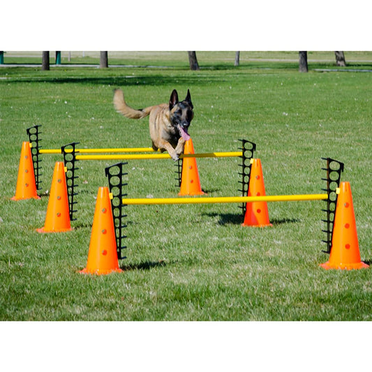 Fitpaws Hundesport-Set
