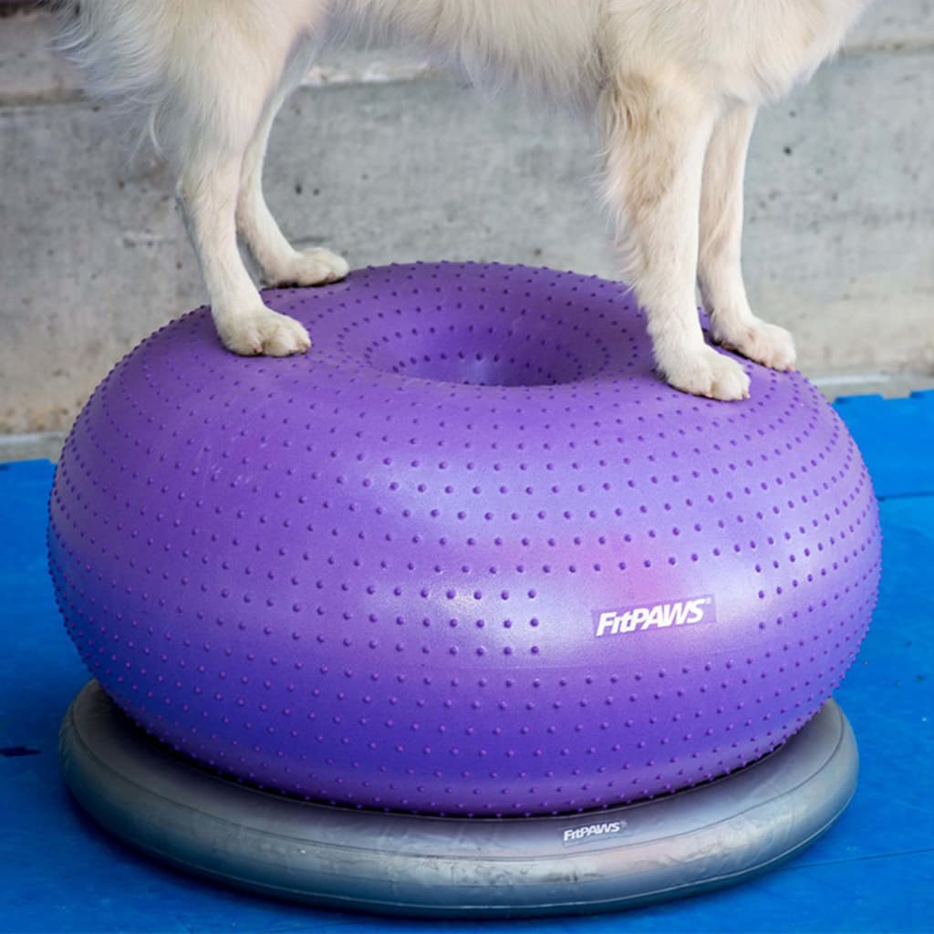 Fitpaws Donuthalter 63 Cm Grau