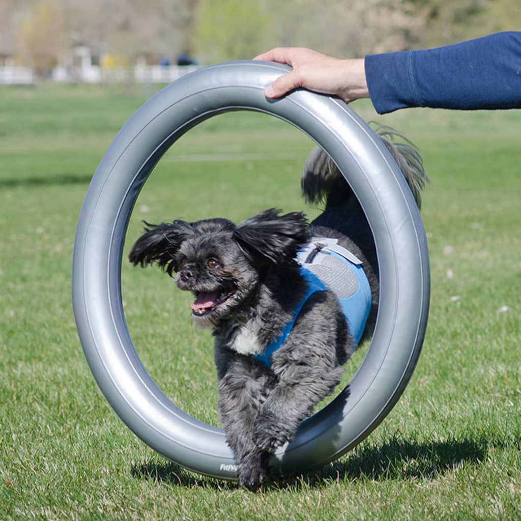 Fitpaws Donuthalter 63 Cm Grau