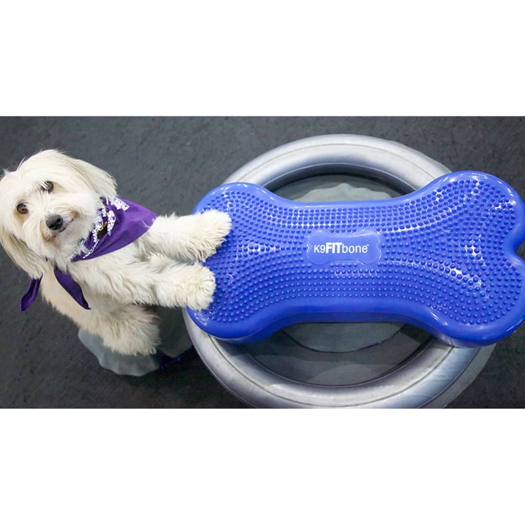 Fitpaws Donuthalter 63 Cm Grau