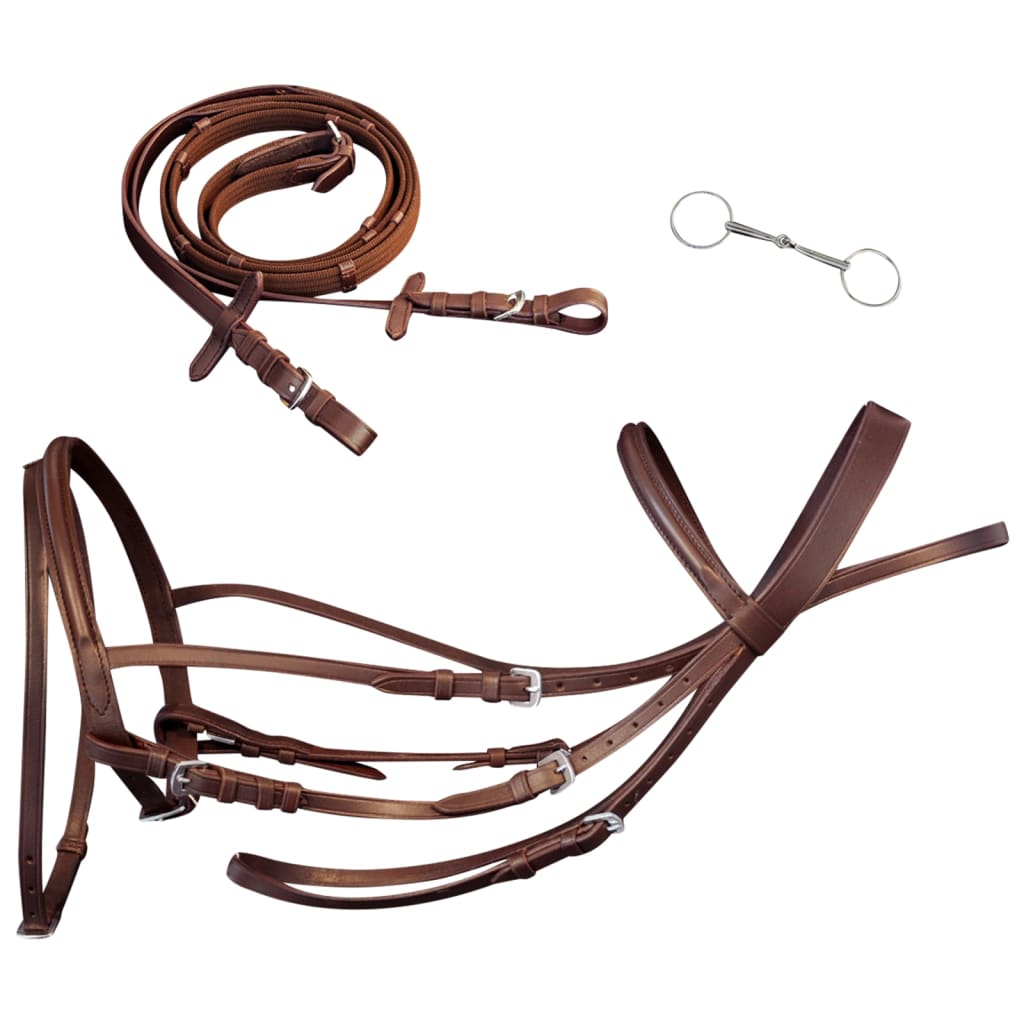 Leder Trense Trensenzaum Mit Zügeln Und Gebiß