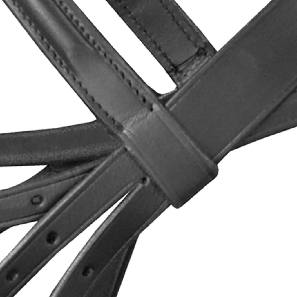 Leder Trense Trensenzaum Mit Zügeln Und Gebiß