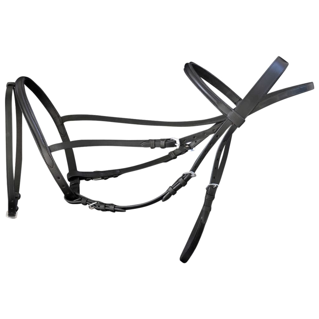 Leder Trense Trensenzaum Mit Zügeln Und Gebiß
