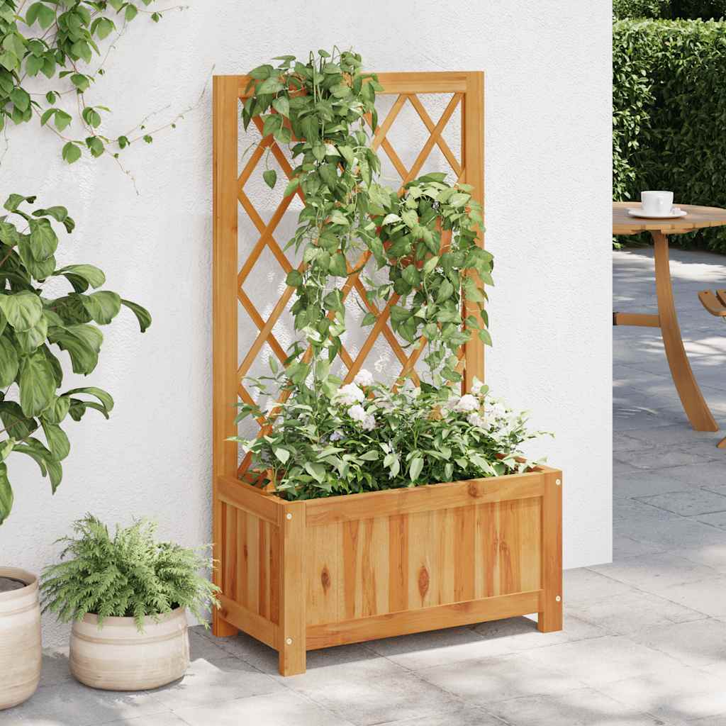 Garten-Hochbeet Mit Spalier Massivholz Akazie