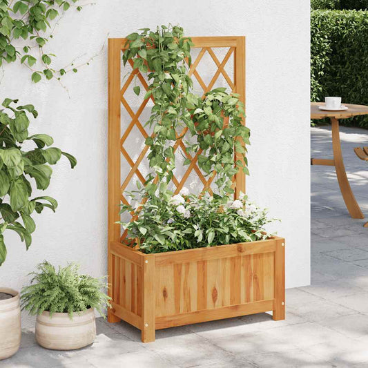 Garten-Hochbeet Mit Spalier Massivholz Akazie