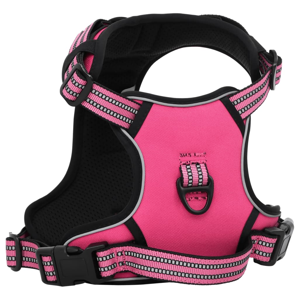 Hundegechirr Mit Leine & Halband Vertellbar