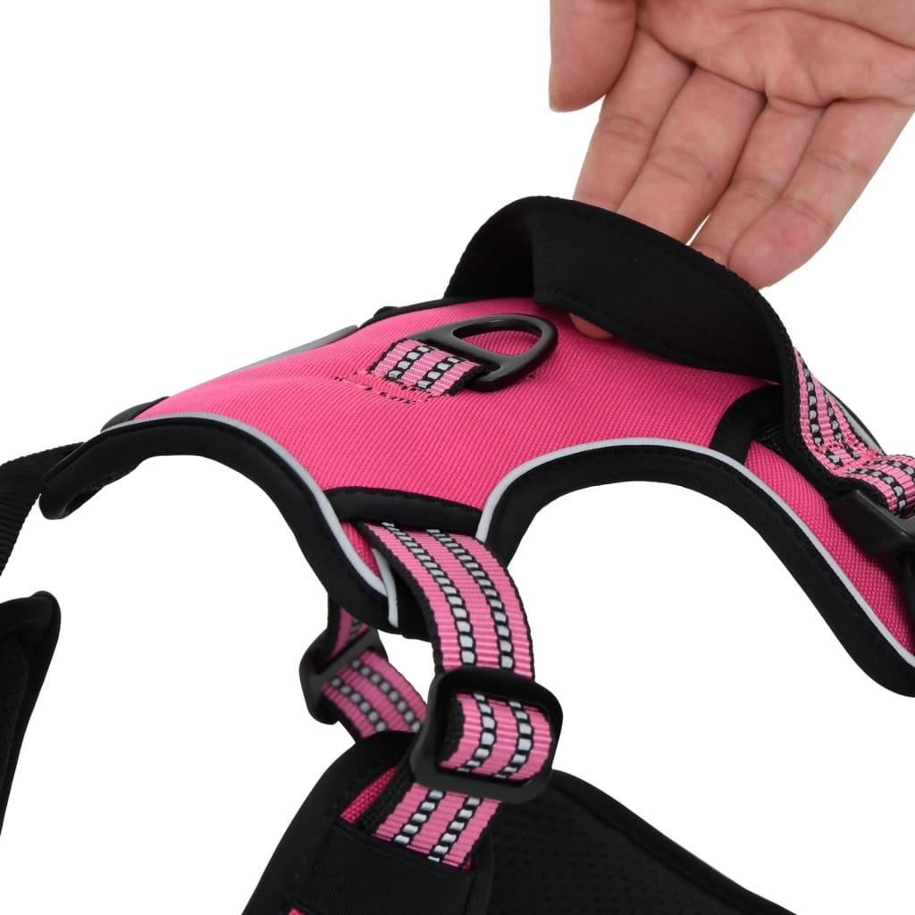 Hundegechirr Mit Leine & Halband Vertellbar