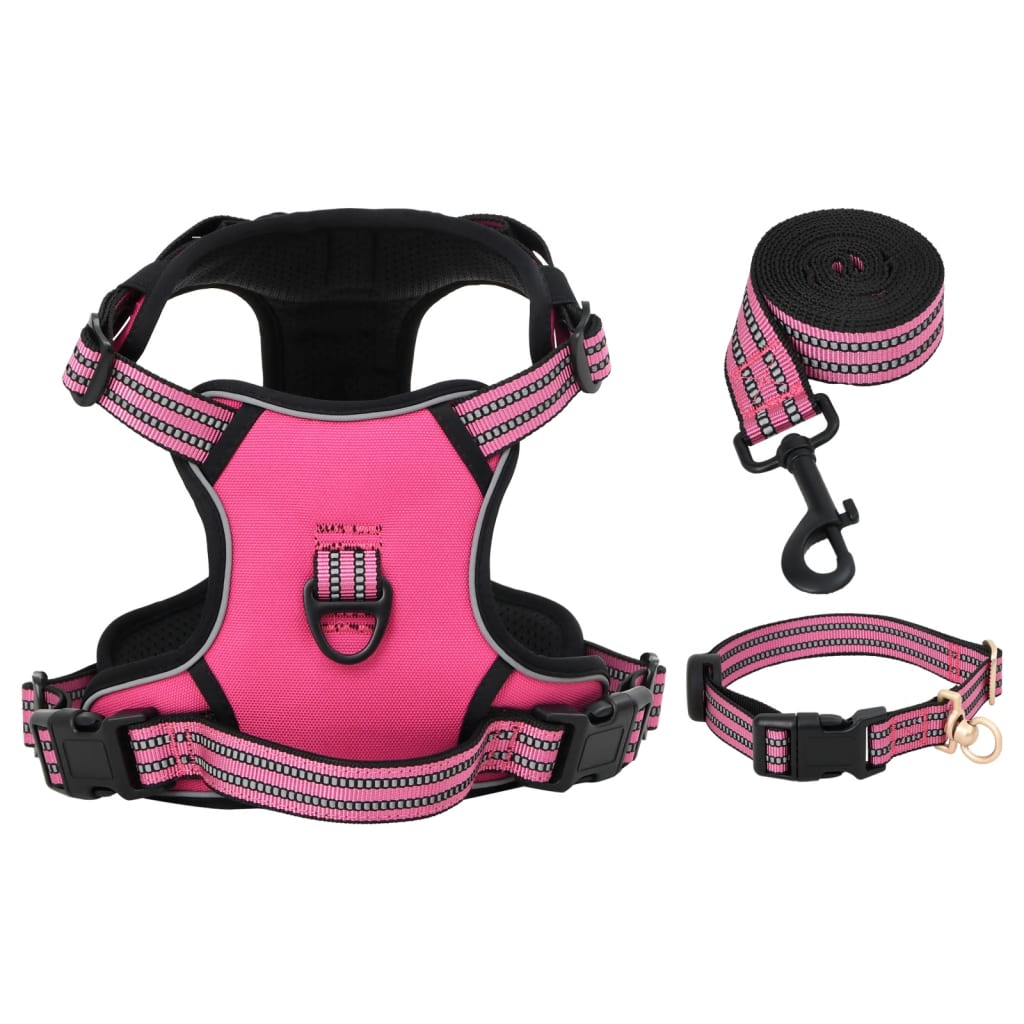 Hundegechirr Mit Leine & Halband Vertellbar