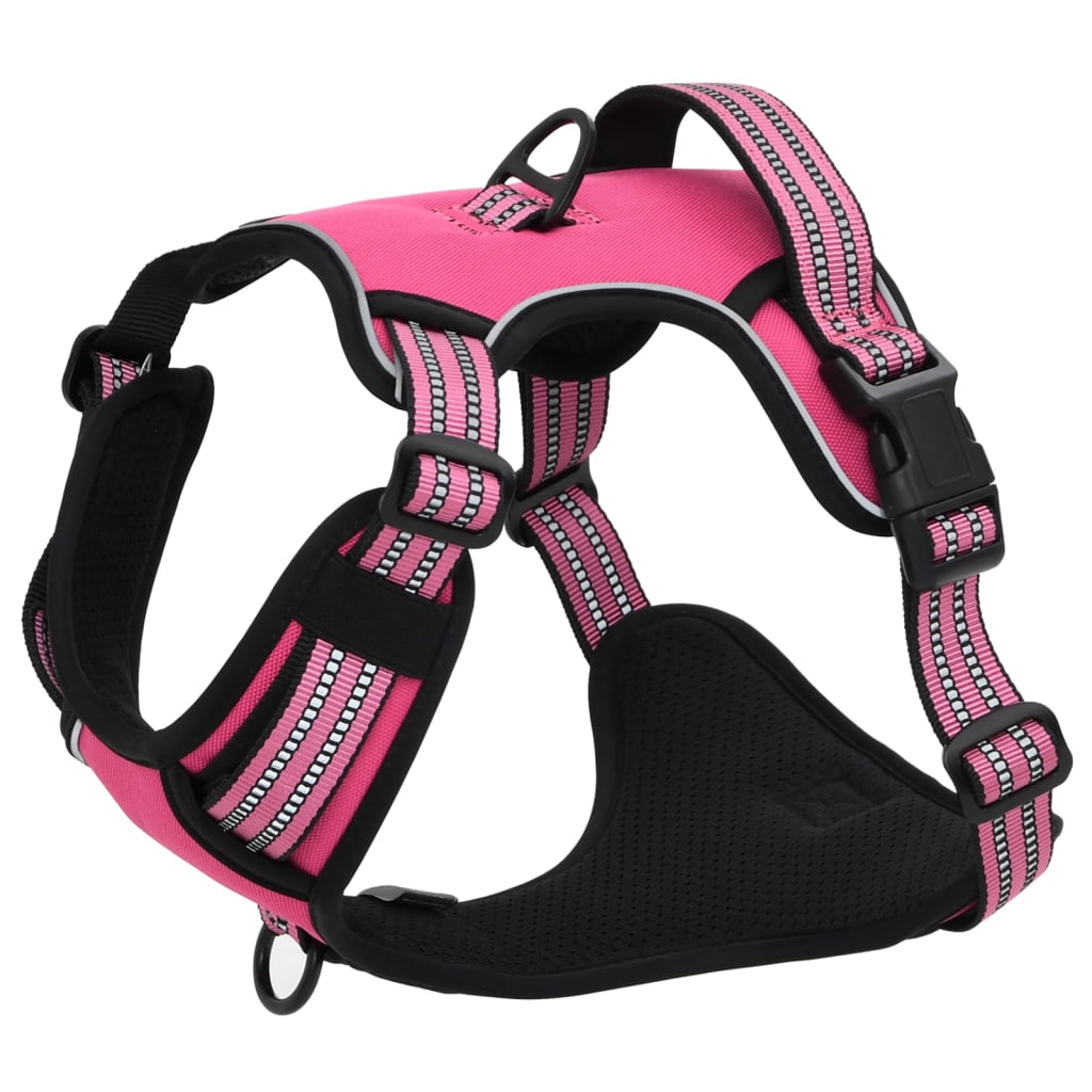 Hundegechirr Mit Leine & Halband Vertellbar