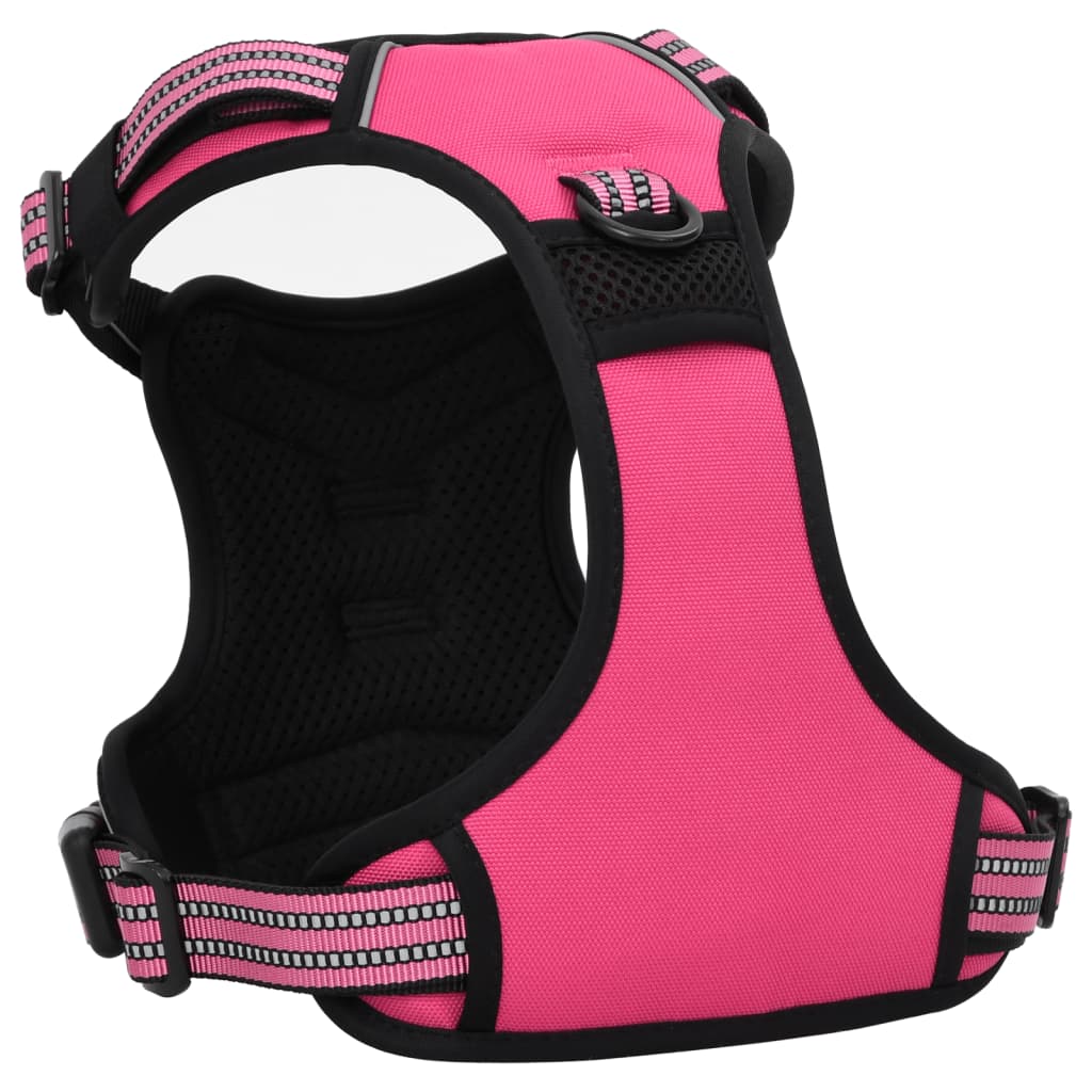 Hundegechirr Mit Leine & Halband Vertellbar