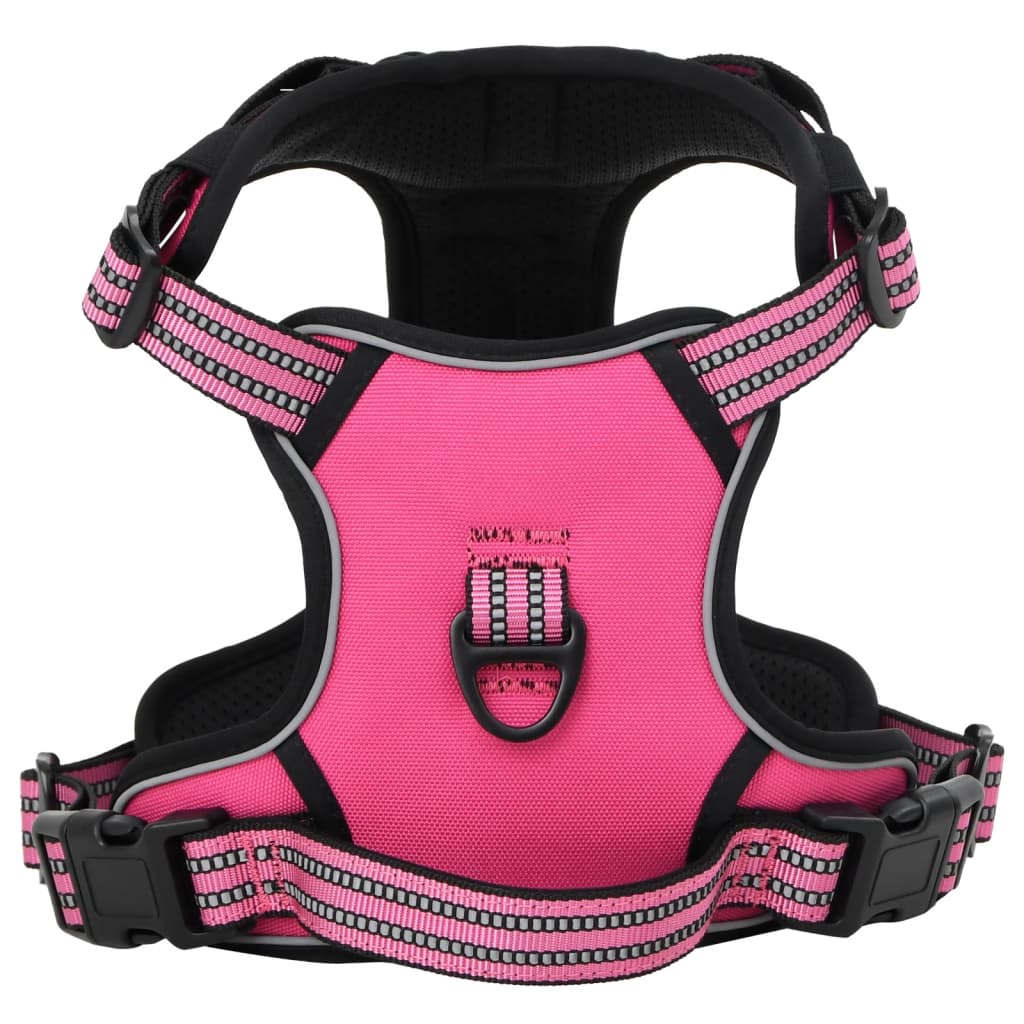 Hundegechirr Mit Leine & Halband Vertellbar